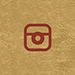 instagram icon